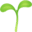🌱