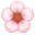 🌸