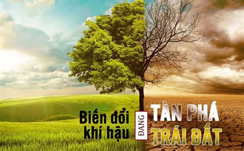 Mối quan hệ giữa biến đổi khí hậu và lâm nghiệp