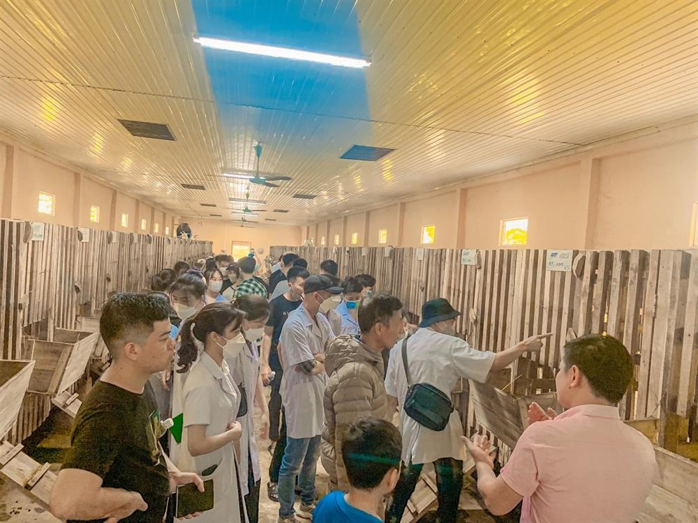 Trường Đại học kinh tế Nghệ An – Kết nối doanh nghiệp – Cam kết đầu ra việc làm cho sinh viên