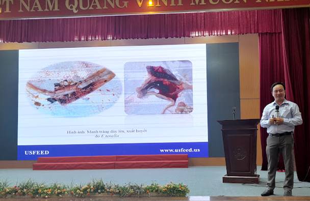 Seminar: Một số bệnh truyền nhiễm phổ biến trên gà và các giải pháp phòng trị hiệu quả