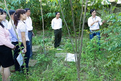 Học lâm học để bảo vệ tài nguyên thiên nhiên