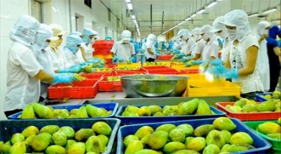 Ứng dụng công nghệ cao để phát triển công nghiệp chế biến nông sản