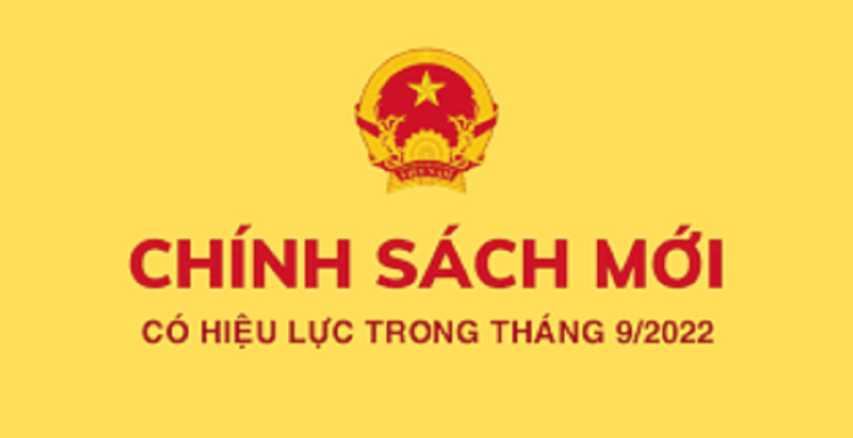 Chính sách thuế, phí, kế toán nổi bật có hiệu lực từ tháng 9/2022