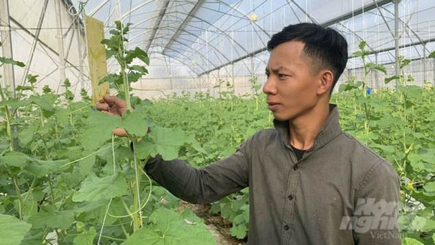 Hiểu đúng vai trò của khu nông nghiệp ứng dụng công nghệ cao