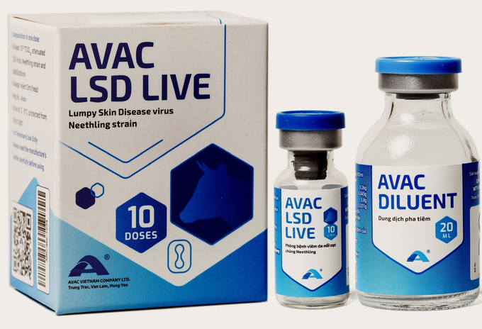 Việt Nam sản xuất thành công vacxin phòng bệnh viêm da nổi cục trên trâu bò