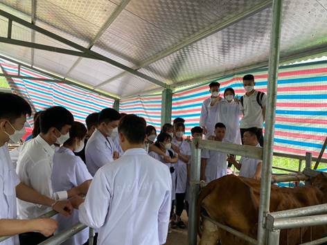 Đào tạo gắn với thực hành tại cơ sở của sinh viên ngành Thú y ở Trường Đại học Kinh tế Nghệ An