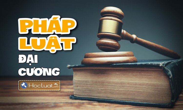 Sử dụng tình huống để nâng cao hiệu quả giảng dạy môn Pháp luật đại cương theo hệ thống tín chỉ tại trường Đại học Kinh tế Nghệ An