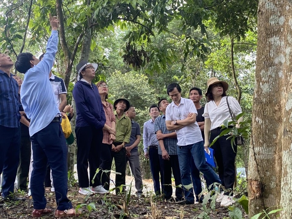 Lớp ĐHLT Lâm học K9 thực tập nghề nghiệp 1