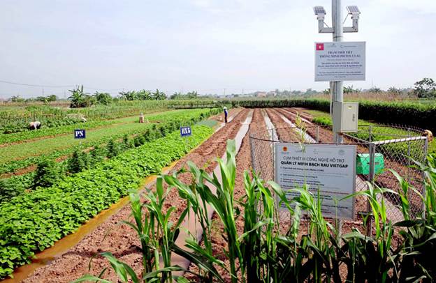 Ứng dụng trí tuệ nhân tạo trong nông nghiệp