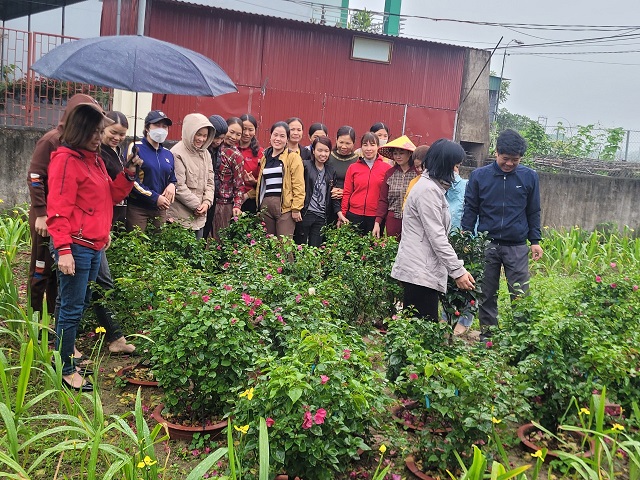 Khoa Nông Lâm Ngư tham gia hoạt động cộng đồng kết nối và đào tạo nghề cho nông dân xã Hưng Hòa, thành phố Vinh