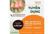 Công ty CP Tập đoàn VISIMEX tuyển dụng
