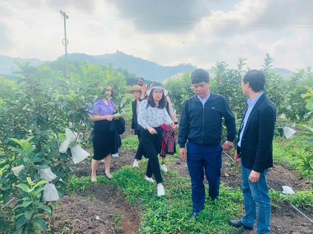 Khoa Nông Lâm Ngư tham quan tại huyện Nghĩa Đàn, Nghệ An