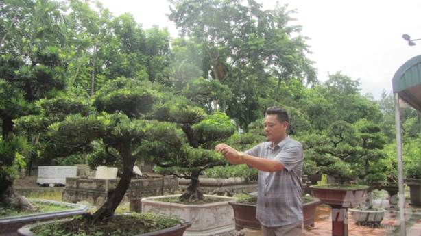 Ngành hoa, cây cảnh mang về giá trị 45 nghìn tỉ đồng