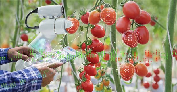 Tiến tới nông thôn số – nông dân số