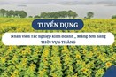 THFC tuyển dụng nhân viên tác nghiệp kinh doanh