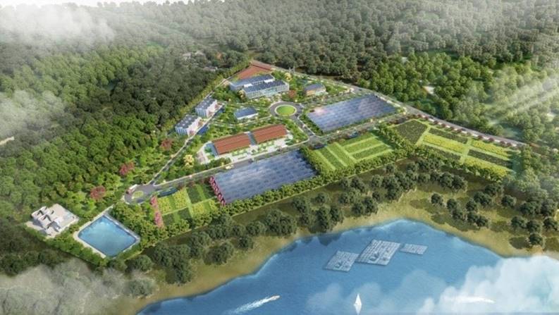 Nghệ An lập quy hoạch Khu Lâm nghiệp công nghệ cao vùng Bắc Trung Bộ