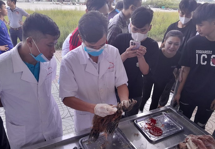 Bác sỹ thú cưng ngành kiếm ra tiền hiện nay?