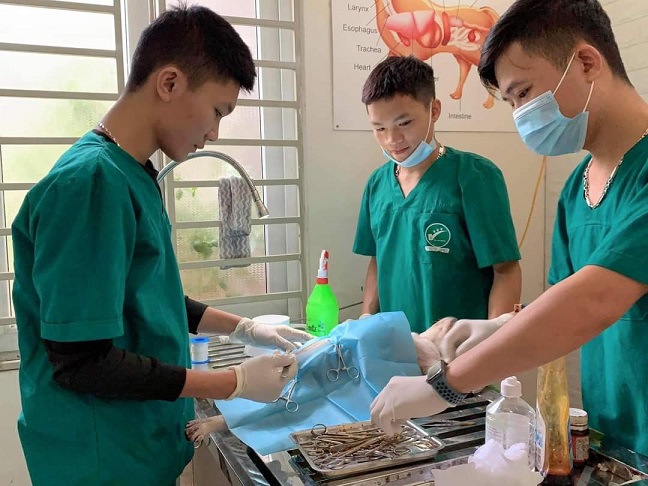 Cơ hội học tập và việc làm hấp dẫn với sinh viên ngành Thú y