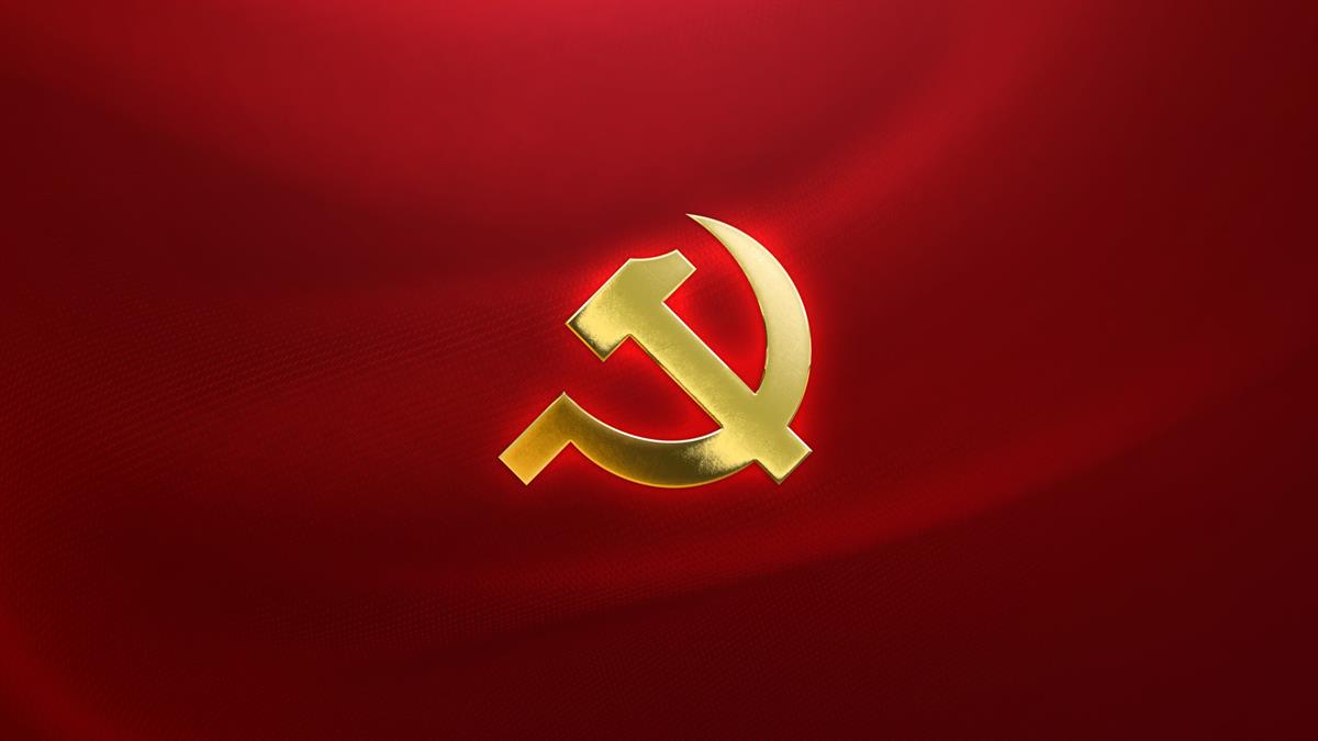 Cơ cấu tổ chức