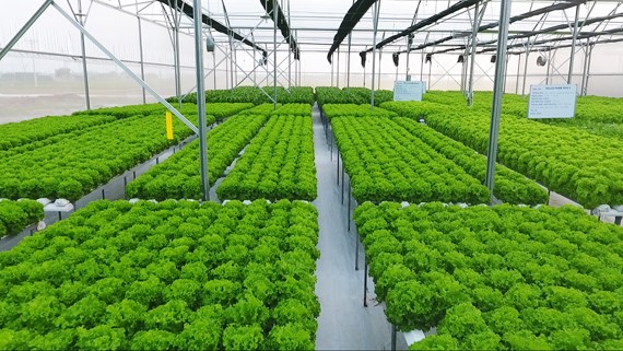 Ngành “Nông nghiệp công nghệ cao” – Trường Đại học Nghệ An