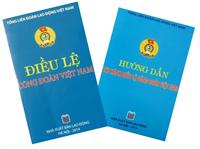 Điều lệ Công đoàn Việt Nam khóa XI