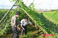 Hiệu quả phân bón công nghệ Nano