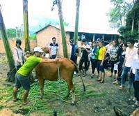 Kết hợp giảng dạy thực hành gắn với thực tế  các mô hình chăn nuôi tại trang trại