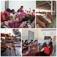 Khoa Lý luận Chính trị đi nghiên cứu thực tế về kinh tế tư nhân.