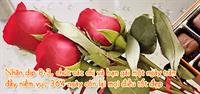 Kỷ niệm 106 năm Ngày Quốc tế Phụ nữ (8/3/1910-8/3/2016)