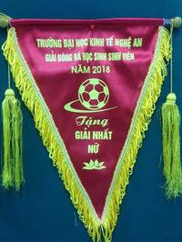 Liên chi đoàn khoa Kế toán- Phân tích tham gia giải bóng đá HSSV trường ĐH Kinh tế Nghệ An lần thứ X