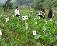 Lỗ hổng trong ứng dụng khoa học vào nông nghiệp