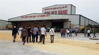 Tăng cường công tác thực tế cho sinh viên ngành chăn nuôi thú y