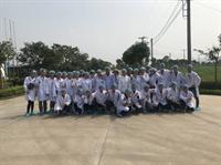 Thực hành chăn nuôi bò sữa của lớp đại học thú y k1