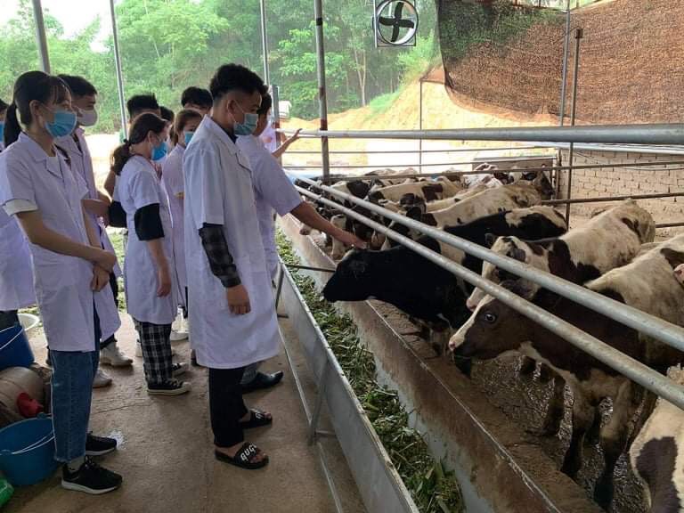 Đề cương tín chỉ học phần ngành Thú y năm 2020