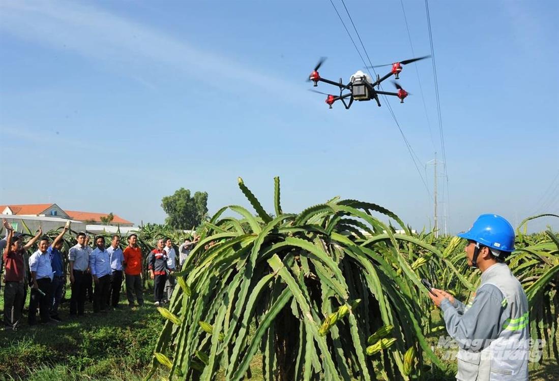 Đưa drone vào vườn cây ăn trái