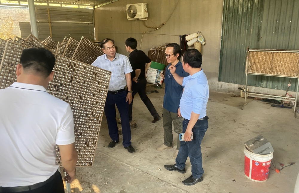 Khoa Nông Lâm Ngư tham gia đề án chuyển đổi xanh tại xã Đình Cường tỉnh Quảng Ngãi.