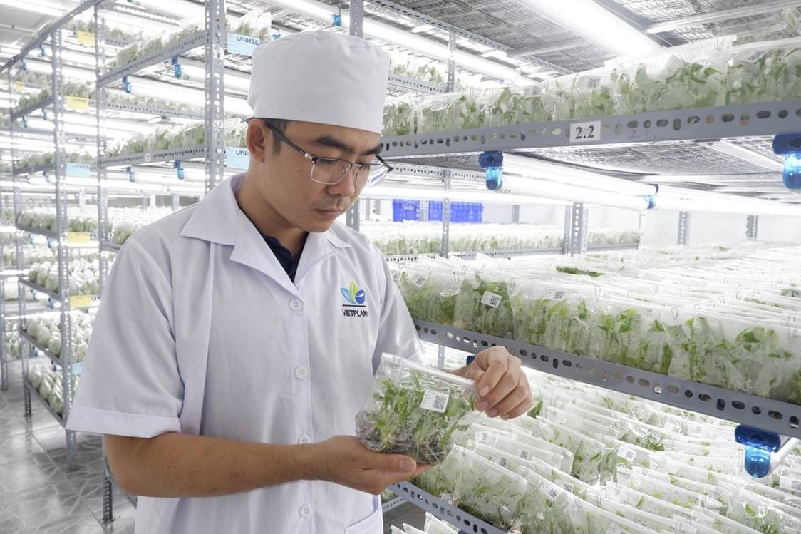 Công nghệ số tạo bước tiến mới trong sản xuất giống cấy mô