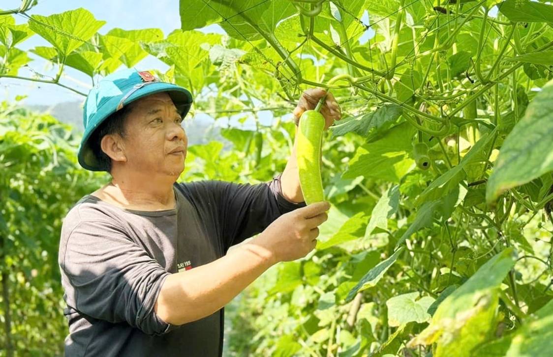 Giống mới, kỹ thuật mới – đòn bẩy giúp nông dân làm giàu trên đất màu