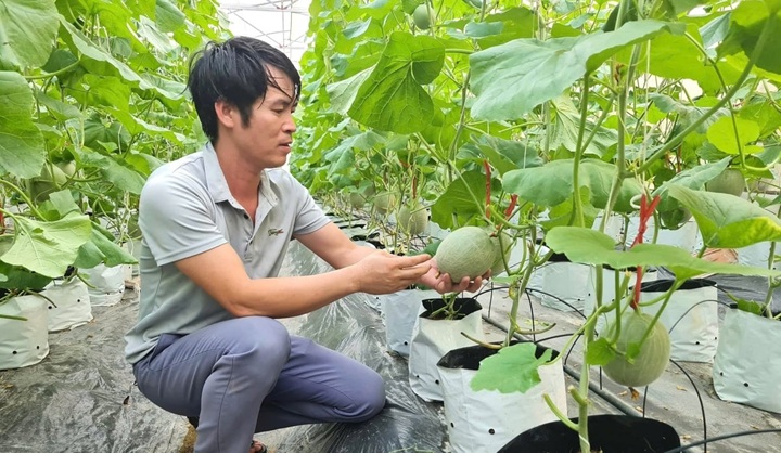 Khuyến nông nghệ an ưu tiên các mô hình ứng dụng công nghệ cao