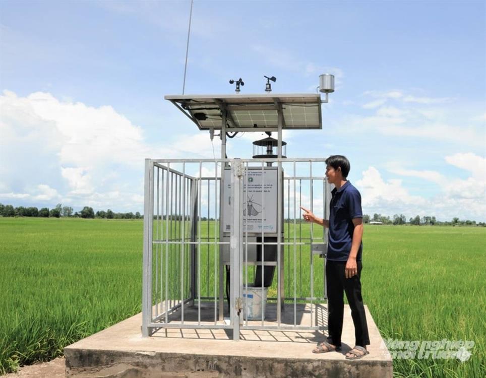 ‘Mắt thần’ canh gác ruộng lúa