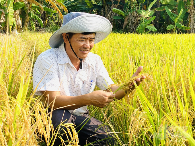 Mô hình lúa giảm phát thải vụ đông xuân giảm 15 – 20% chi phí