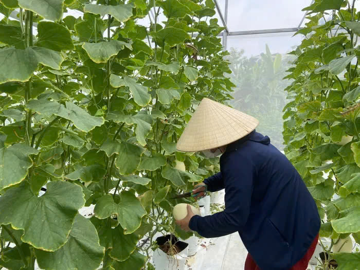Nông nghiệp lập kỷ lục mới, khẳng định là trụ đỡ vững chắc của nền kinh tế