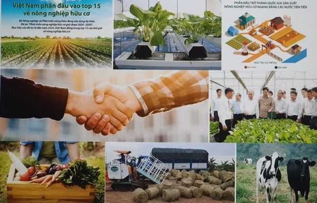 Sản xuất nông nghiệp hữu cơ – hướng đi bền vững cho nông dân