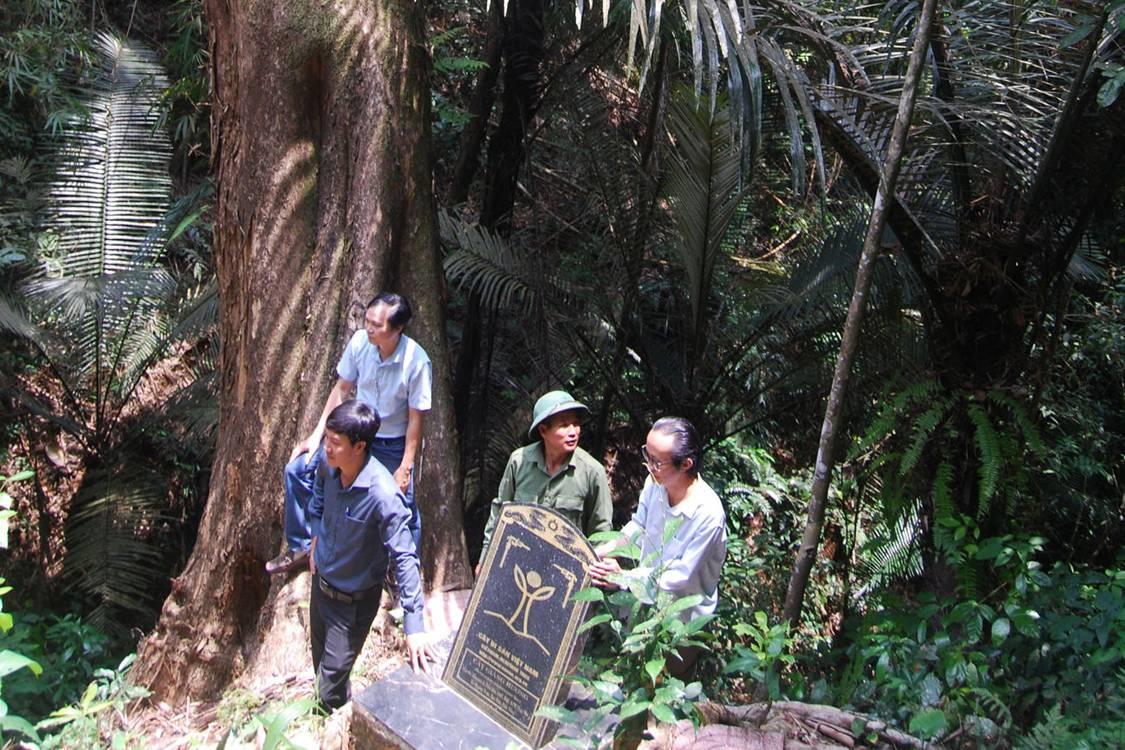 Tiềm năng lớn từ “mỏ vàng xanh”