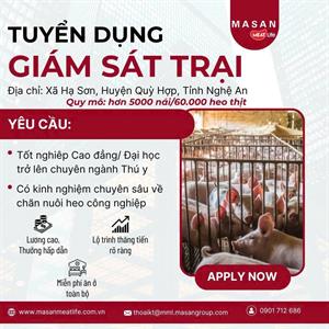 Công ty cổ phần tập đoàn Masan tuyển dụng